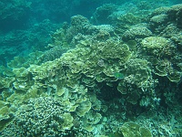 DSC00061 