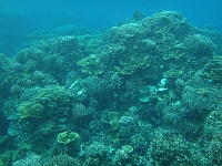 DSC00082 