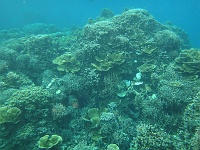 DSC00085 