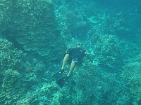 DSC00087 