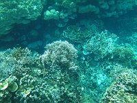 DSC00096 