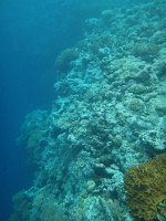 DSC00488