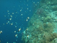 DSC00491