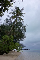 DSC09625