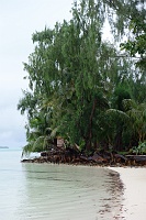 DSC09629