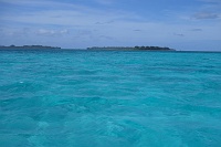 DSC09727