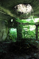 IMG_1326R