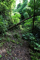 IMG_1690R