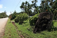 IMG_2219R