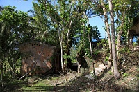 IMG_2511R 