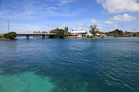IMG_2784R