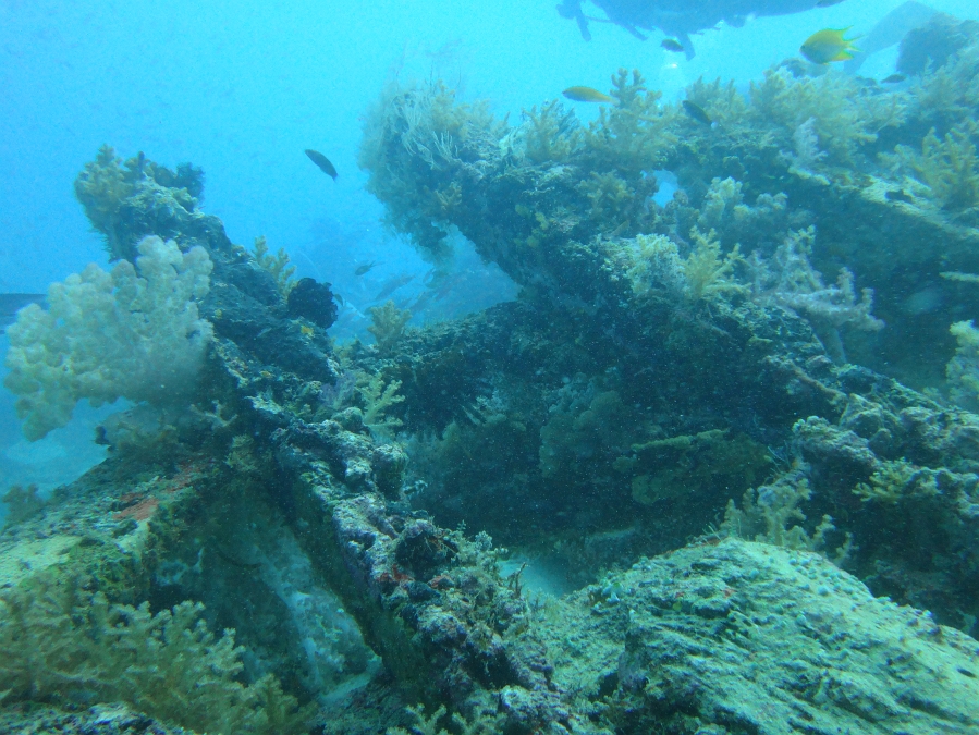 DSC00057 構造物マニアとしては、海の生物よりも海底の地形とか、沈船のほうが100万倍気になる。<BR>
出会ったサカナの種類にこだわる方が多いのですが、私としてはあまり興味が無いわけで・・・