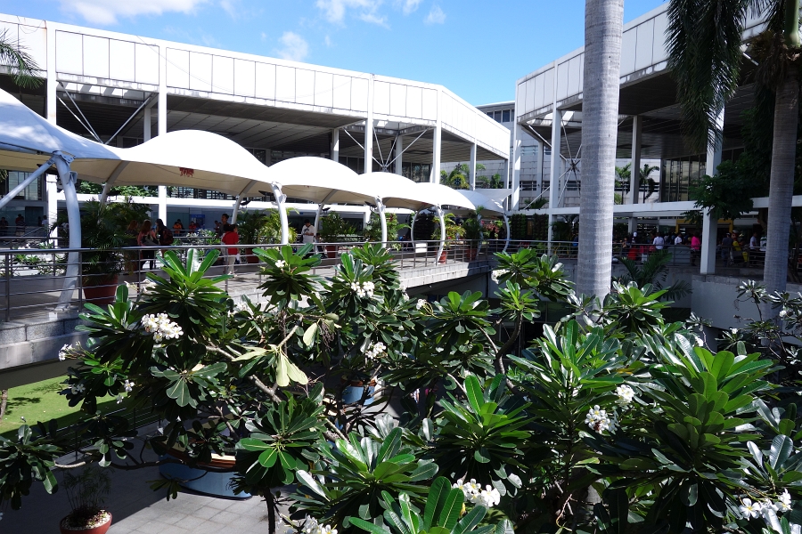 DSC00207 お日様もだいぶ高くなった頃ようやく空港に戻って参りました。<BR>
早起きしすぎて既に猛烈に眠いんですけどね。
