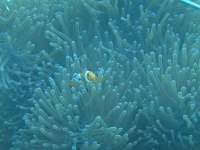 DSC00080 