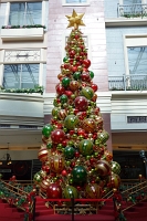 DSC00203