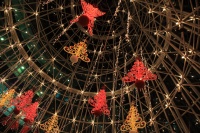 IMG_1014R 
