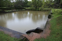IMG_8838R