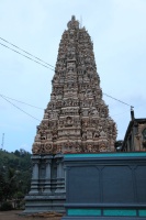 IMG_9055R 