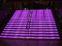 DSC00523
