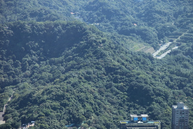 IMG_8396R 中央のちょっと上に岩のようなものが見えますが、あそこから<a href=http://www.panoramio.com/photo/5429198>台北101の写真</a>を撮るのが定石とされてます。<BR>
登るのはナカナカ骨が折れるんですが・・・。