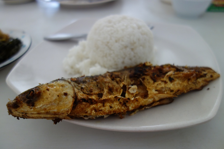 DSC03411 会話がほとんど成り立ちませんが、どうにかこうにか食べられるものは出てきました。