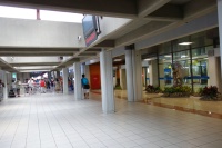 DSC03583