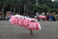 IMG_5260R 