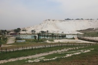 IMG_3791RR 