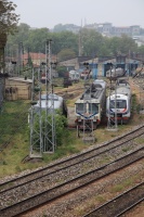 IMG_4691RR
